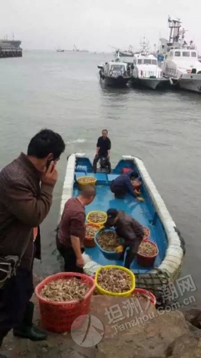 外海沿江海鲜食街_江门市外海镇地图_天津北塘集装箱海鲜街(2)