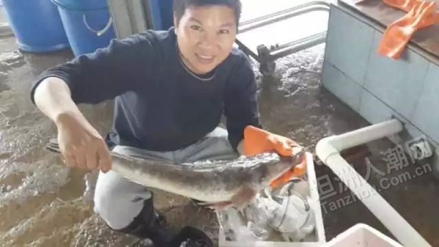 外海沿江海鲜食街_江门市外海镇地图_天津北塘集装箱海鲜街(2)