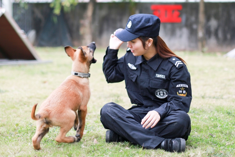 警花与警犬