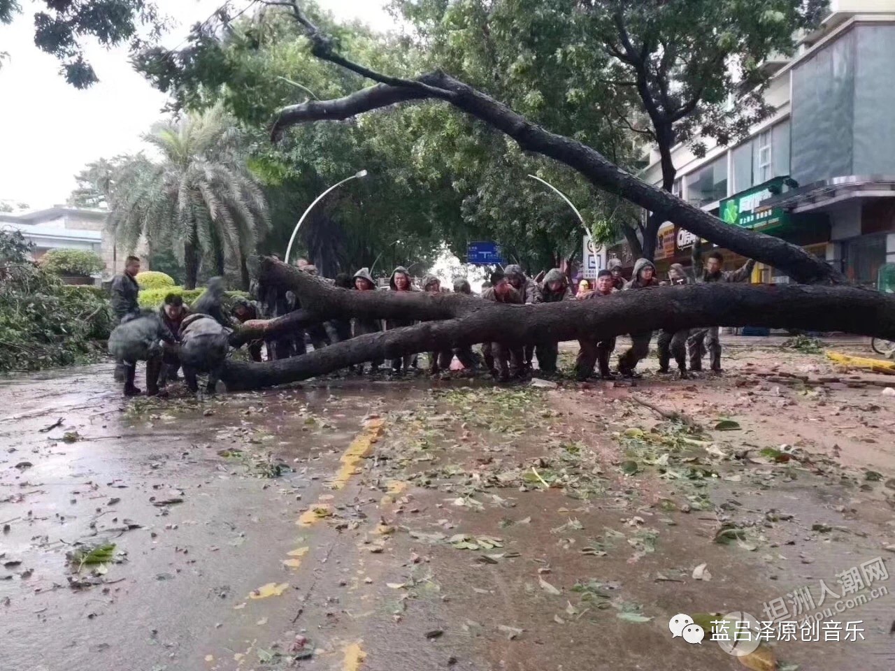 2018第22号台风"山竹 坦洲论坛-中山坦洲人潮网