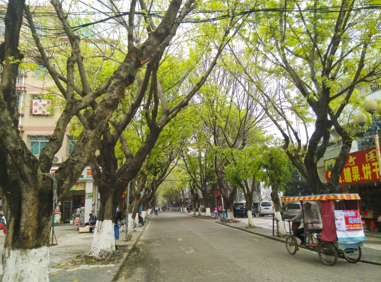 早安坦洲金斗街春天的味道