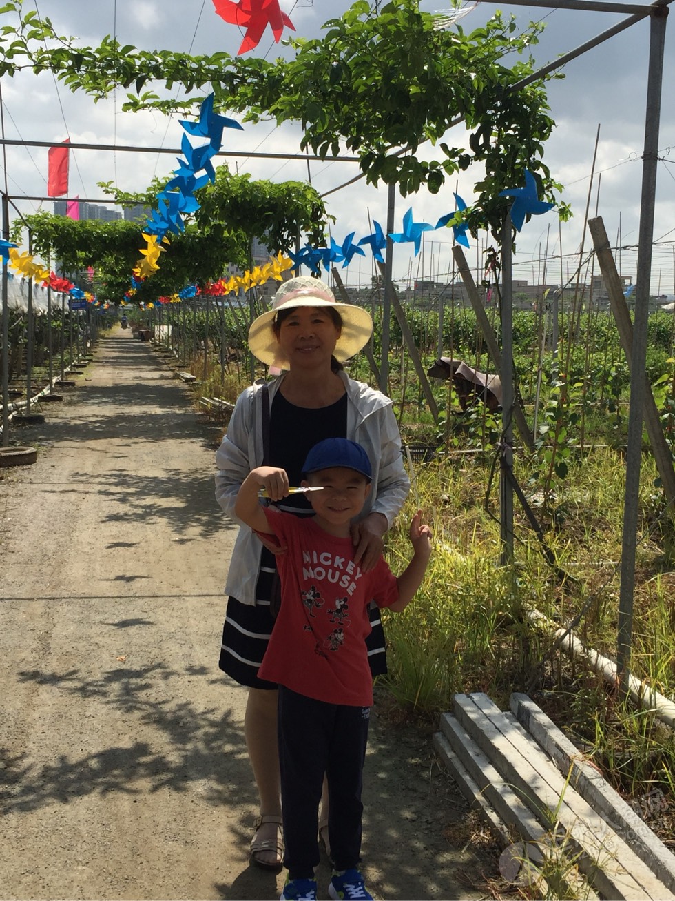 果園遊記 - 坦洲特色水果旅遊園區 - 坦洲論壇-中山坦洲人潮網