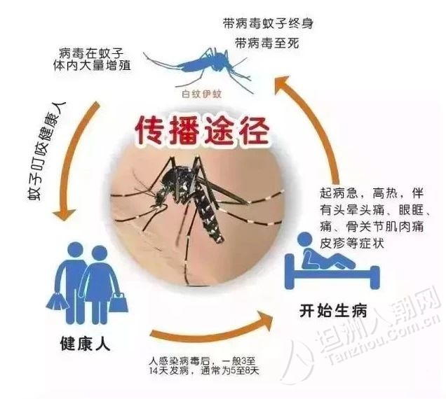 坦洲人近期有出現這些症狀千萬要小心了!